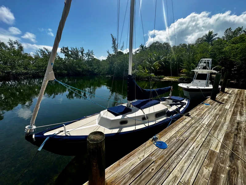 Slide: The Image of Vintage 1968 Sailboat 24 docked by a wooden pier, surrounded by lush greenery. - 6