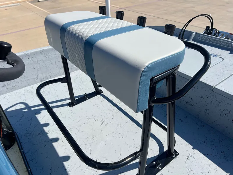 Slide: The Image of Freedom 18 PATRIOT CAT 2025 - 28