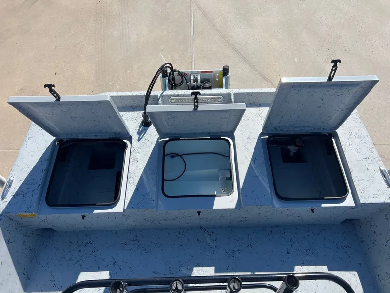 Slide: The Image of Freedom 18 PATRIOT CAT 2025 - 33