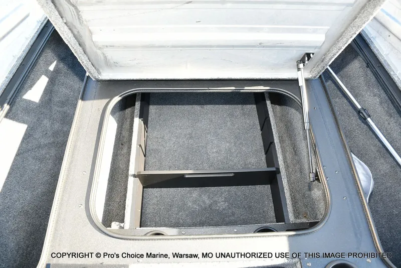 Slide: The Image of Tracker PRO TEAM 175 W/75HP 2025 - 51