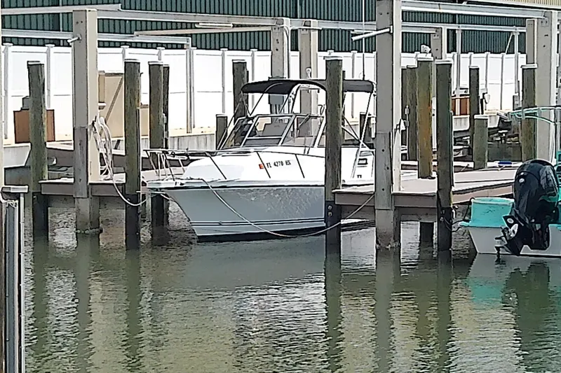 The Image of 1996 Shamrock 260 Express boat docked in marina, surrounded by wooden pilings. - 0