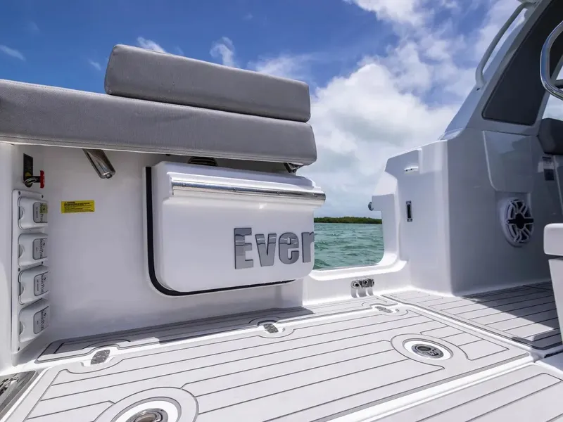 Slide: The Image of Everglades 367 CX 2026 - 12