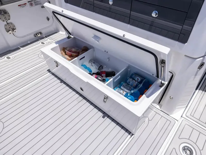 Slide: The Image of Everglades 367 CX 2026 - 13