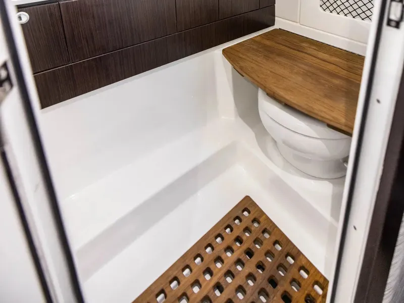 Slide: The Image of Everglades 367 CX 2026 - 18