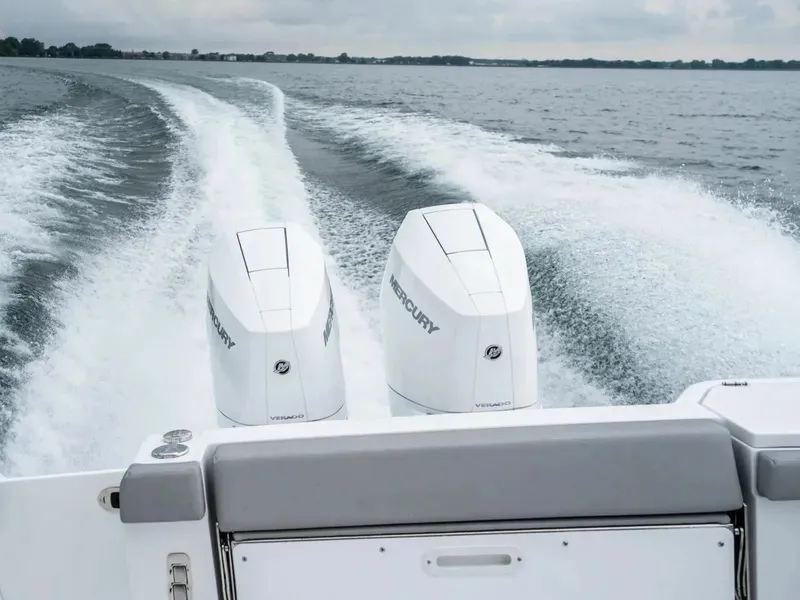 Slide: The Image of Everglades 367 CX 2026 - 3