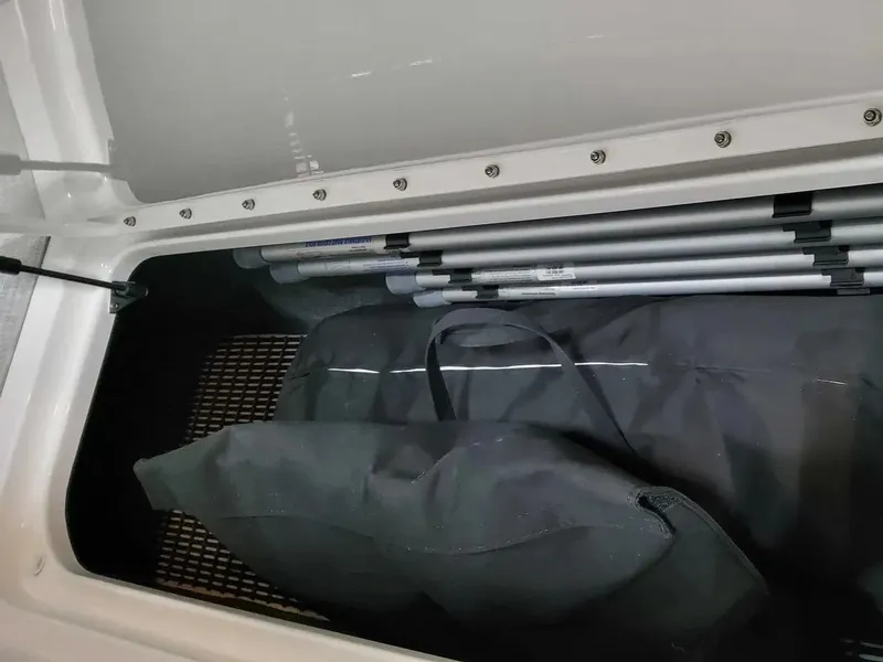 Slide: The Image of Formula 290 Bowrider 2025 - 19