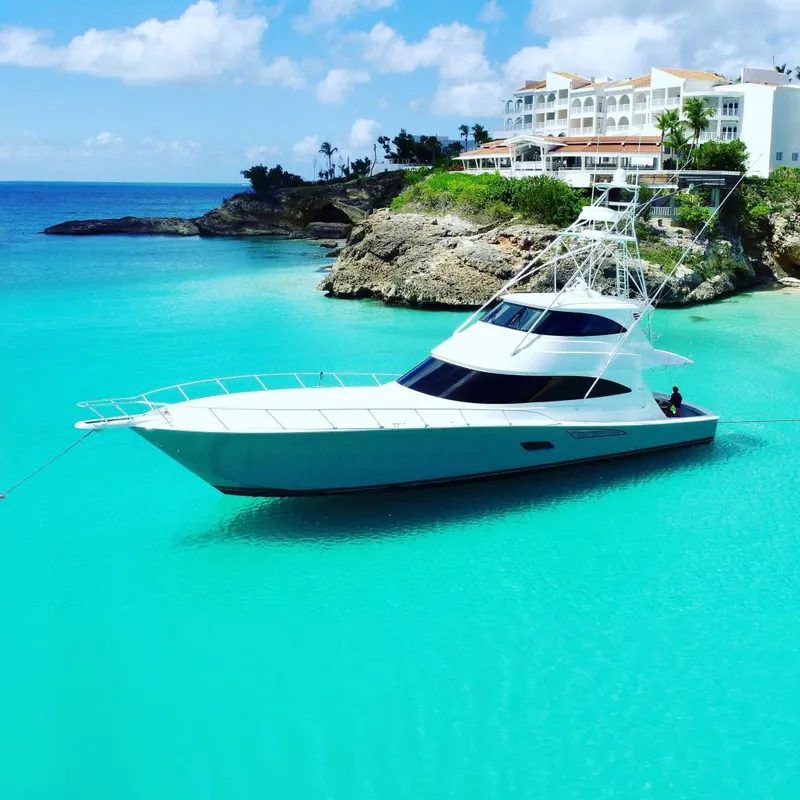 The Image of 2017 Viking 80 Enclosed Bridge yacht in turquoise waters near coast. - 0
