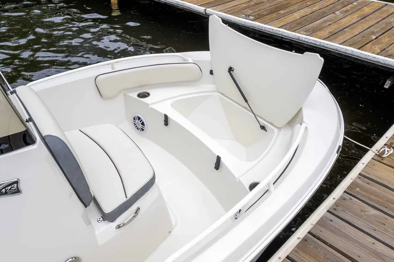 Slide: The Image of Stingray 173 CC 2026 - 10