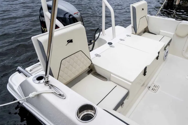 Slide: The Image of Stingray 173 CC 2026 - 11