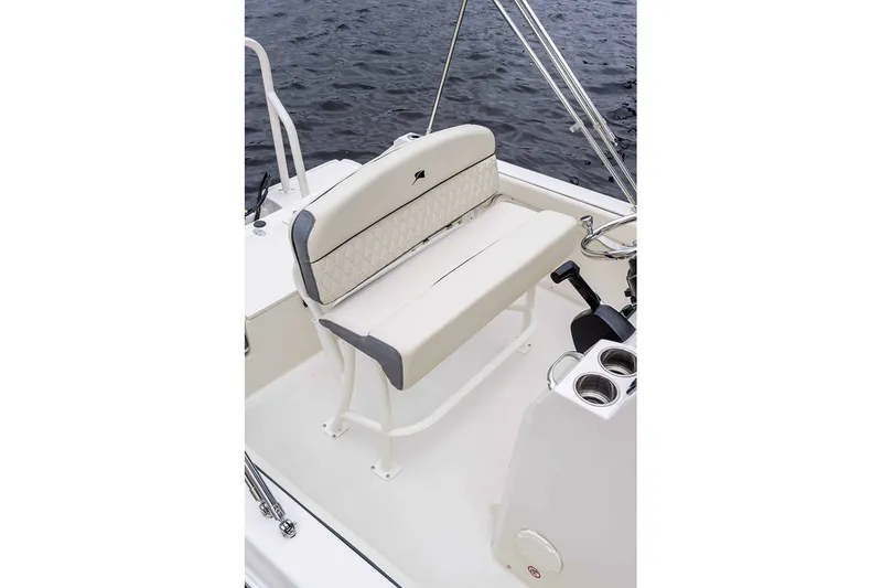 Slide: The Image of Stingray 173 CC 2026 - 12