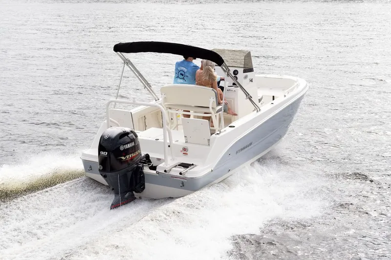 Slide: The Image of Stingray 173 CC 2026 - 15