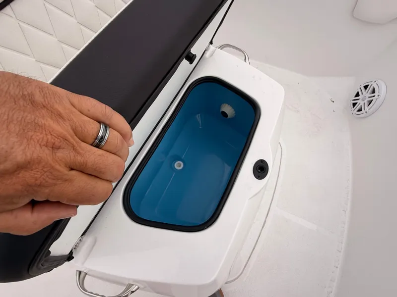 Slide: The Image of Stingray 173 CC 2026 - 25