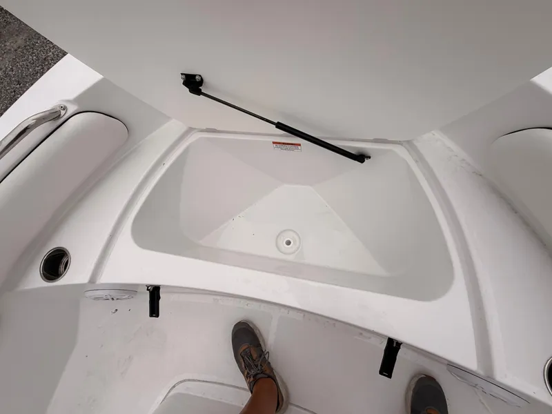 Slide: The Image of Stingray 173 CC 2026 - 26