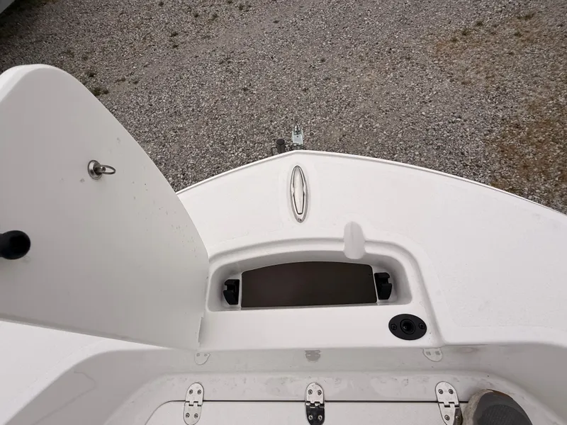 Slide: The Image of Stingray 173 CC 2026 - 27