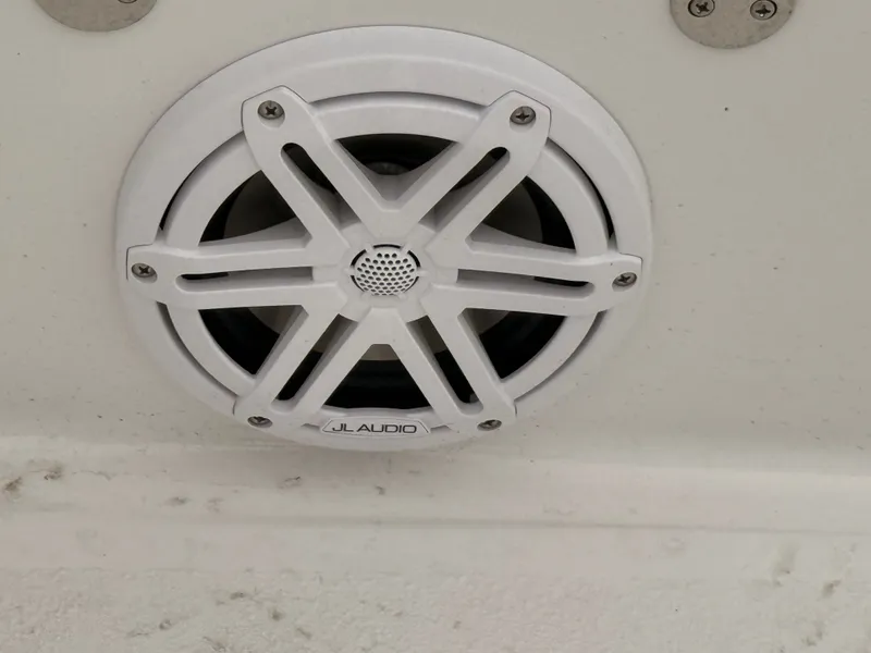 Slide: The Image of Stingray 173 CC 2026 - 28