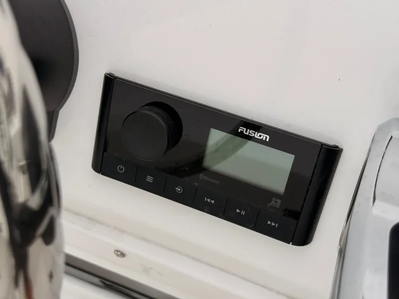 Slide: The Image of Stingray 173 CC 2026 - 29