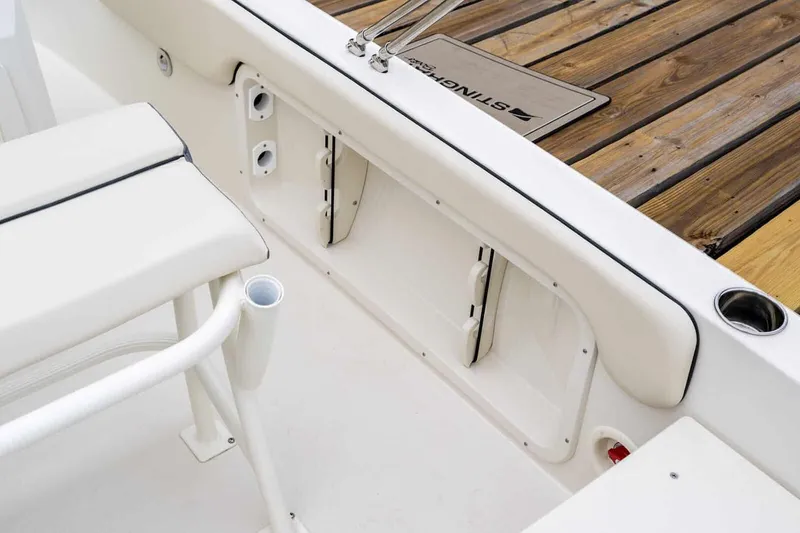 Slide: The Image of Stingray 173 CC 2026 - 4