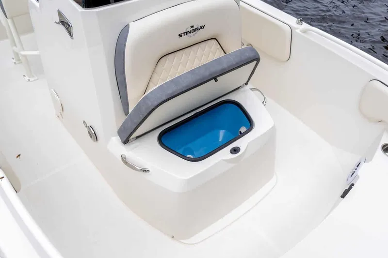 Slide: The Image of Stingray 173 CC 2026 - 8