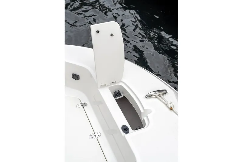 Slide: The Image of Stingray 173 CC 2026 - 9