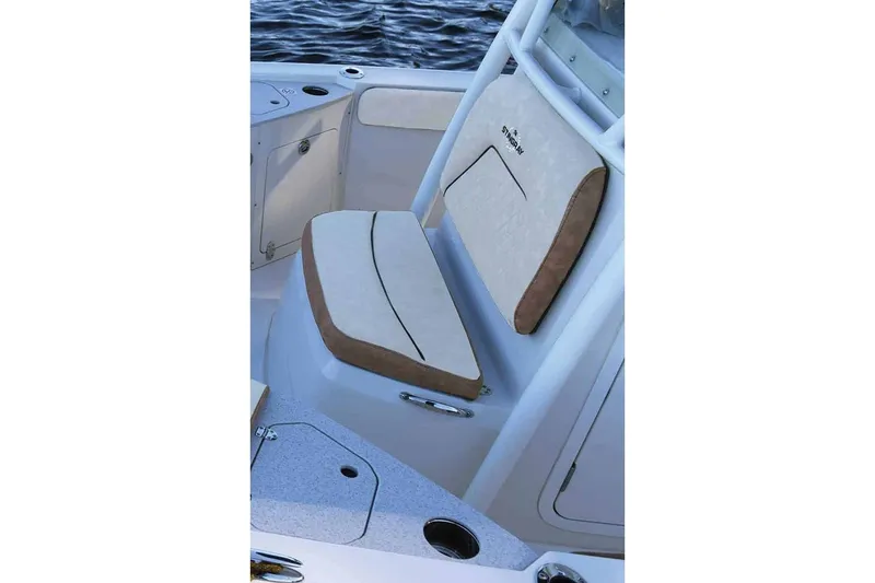 Slide: The Image of Stingray 236 CC 2025 - 10