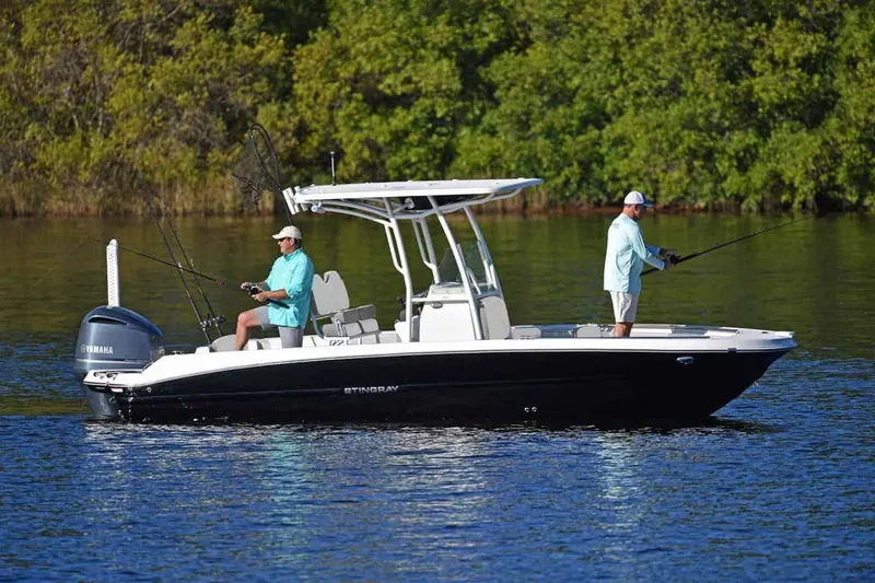 Slide: The Image of Stingray 236 CC 2025 - 18