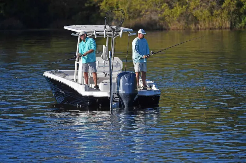 Slide: The Image of Stingray 236 CC 2025 - 19