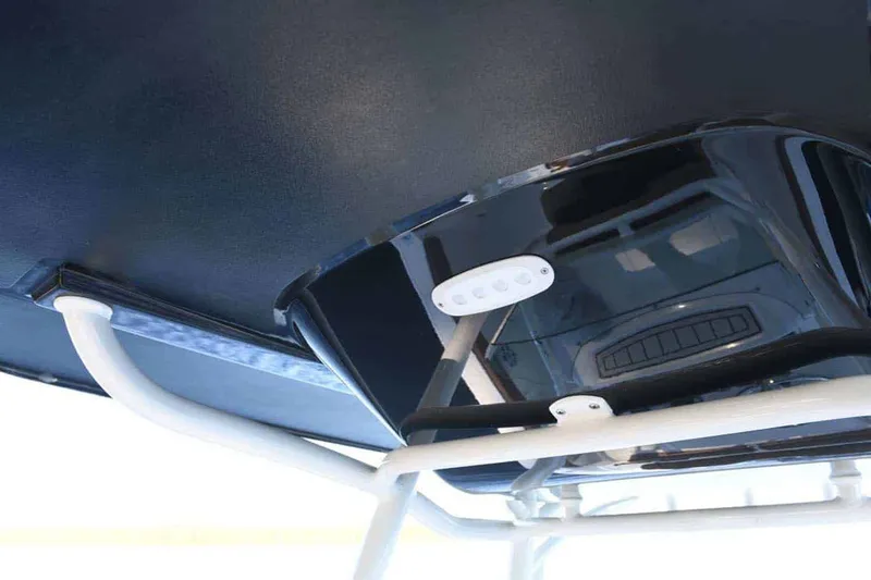 Slide: The Image of Stingray 236 CC 2025 - 5