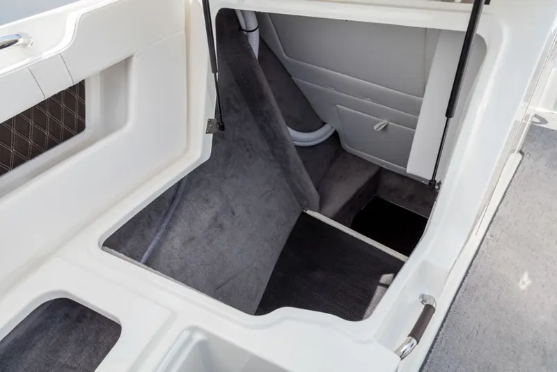 Slide: The Image of Sea Ray SLX 310 2026 - 10