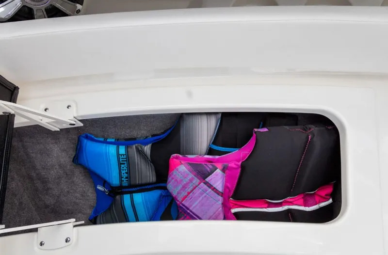 Slide: The Image of Sea Ray SLX 310 2026 - 9