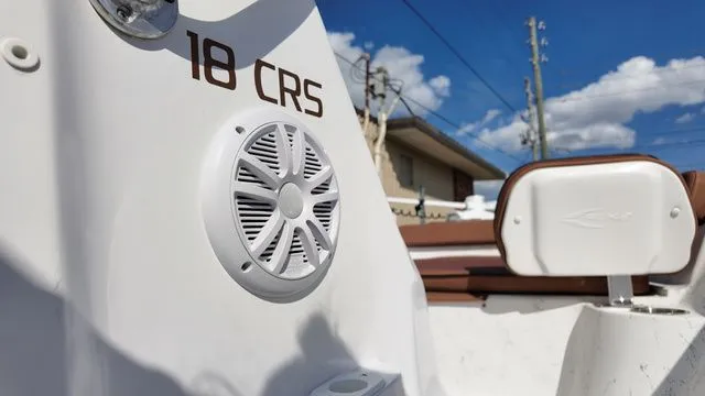 Slide: The Image of ALK2 18CRS 2025 - 22