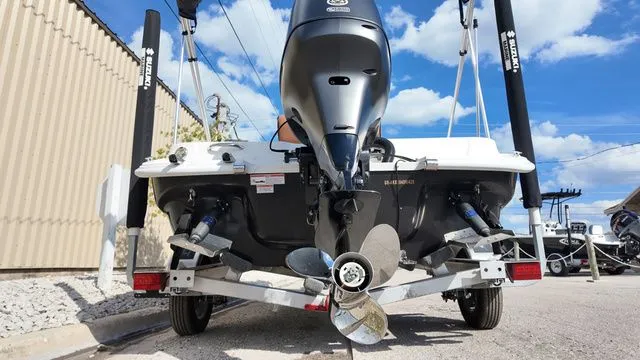 Slide: The Image of ALK2 18CRS 2025 - 7