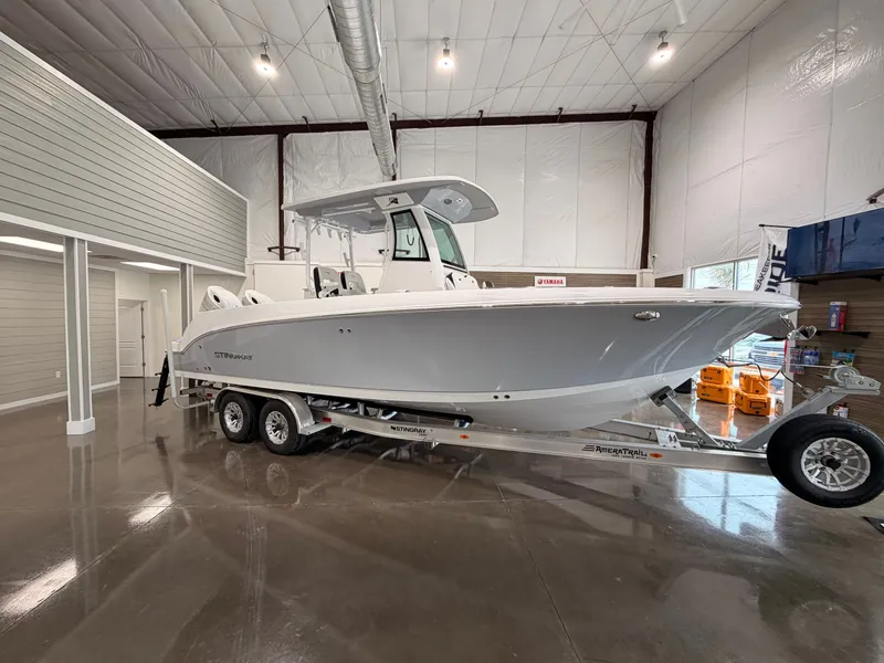 The Image of Stingray 253 CC 2025 - 0