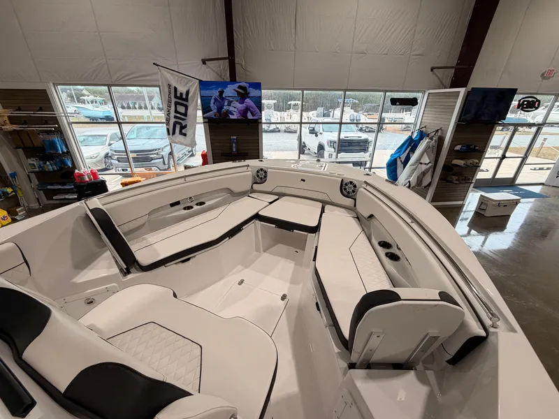 Slide: The Image of Stingray 253 CC 2025 - 10