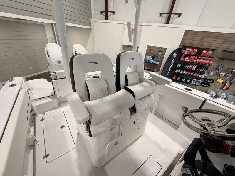 Slide: The Image of Stingray 253 CC 2025 - 13