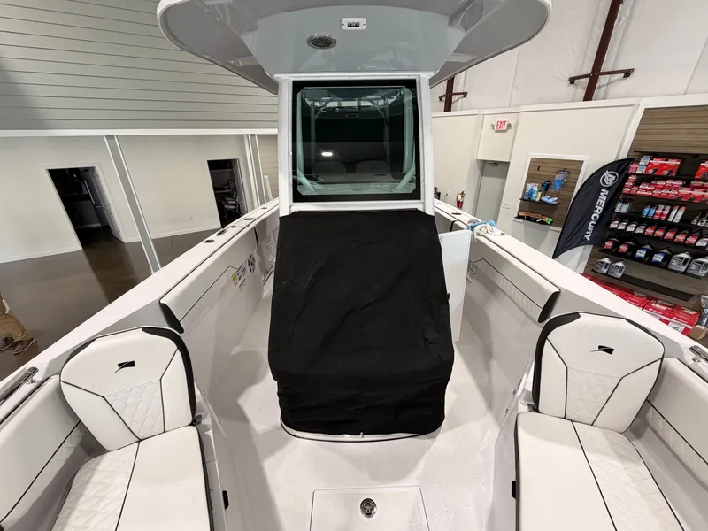 Slide: The Image of Stingray 253 CC 2025 - 19