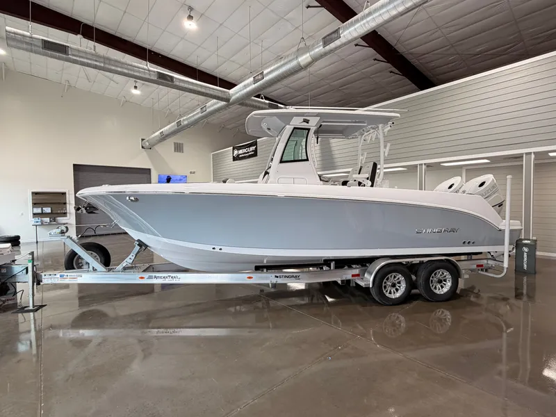 Slide: The Image of Stingray 253 CC 2025 - 4