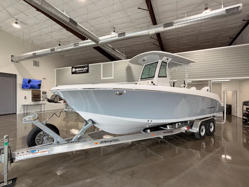 Slide: The Image of Stingray 253 CC 2025 - 5