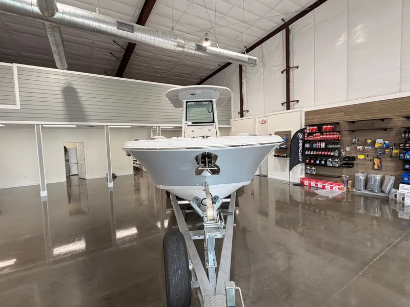 Slide: The Image of Stingray 253 CC 2025 - 6