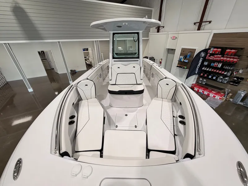 Slide: The Image of Stingray 253 CC 2025 - 9