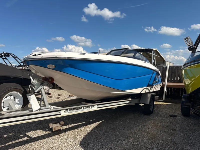 The Image of Scarab 215 2014 - 1