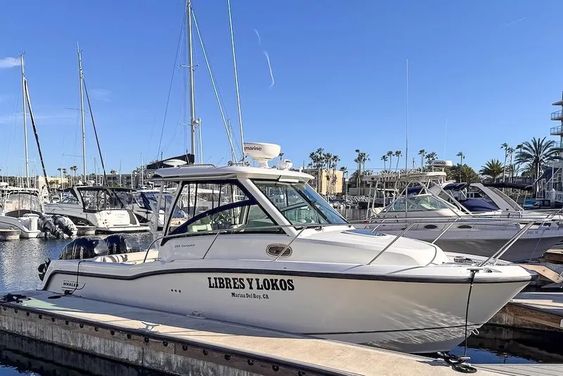 The Image of 2016 Boston Whaler 285 Conquest docked at marina under clear blue sky. - 0