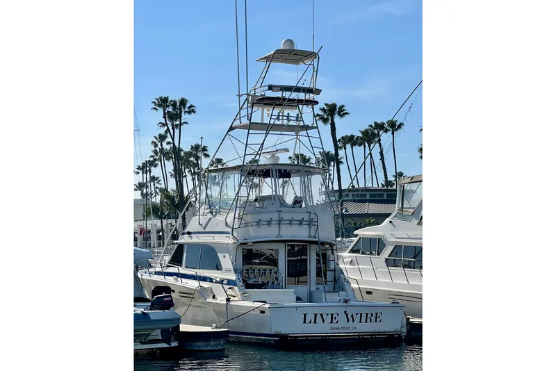 Slide: The Image of 1982 Bertram 46 Convertible yacht "Live Wire" docked in marina, palm trees in background. - 9