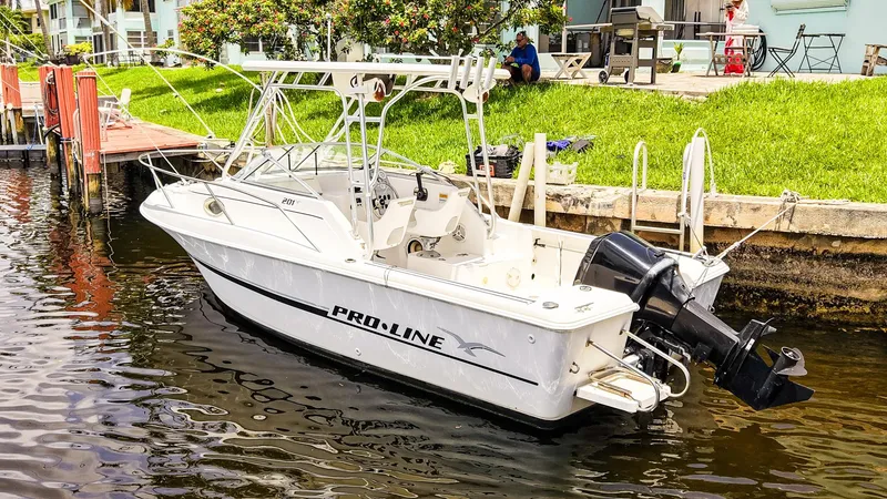 Slide: The Image of 1999 Pro-Line 201 Walkaround boat docked by a grassy shoreline. - 3