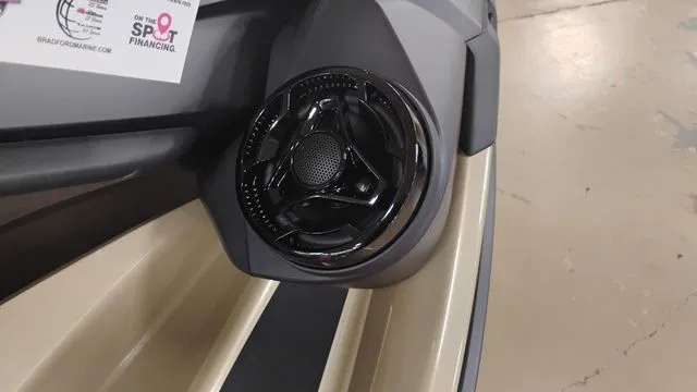 Slide: The Image of Sea-Doo RXT-X 2025 - 12