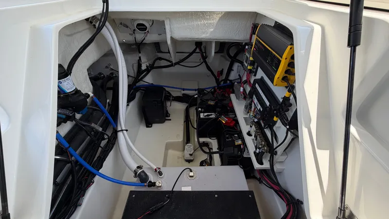 Slide: The Image of Sea Ray SLX 260 Outboard 2026 - 20