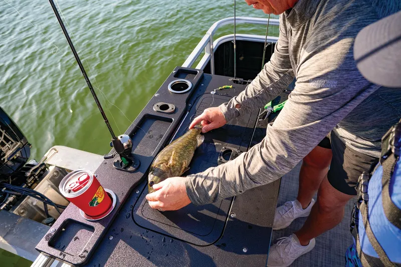 Slide: The Image of Sun Tracker SportFish 20 DLX 2026 - 85