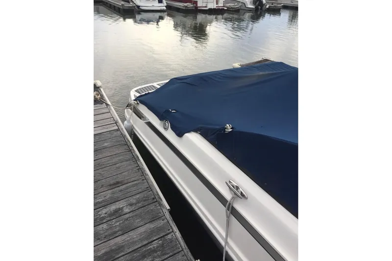Slide: The Image of 2012 Searay 240 boat with blue cover docked in marina. - 4