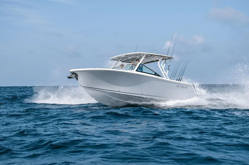Slide: The Image of Sailfish 276 DC 2026 - 2