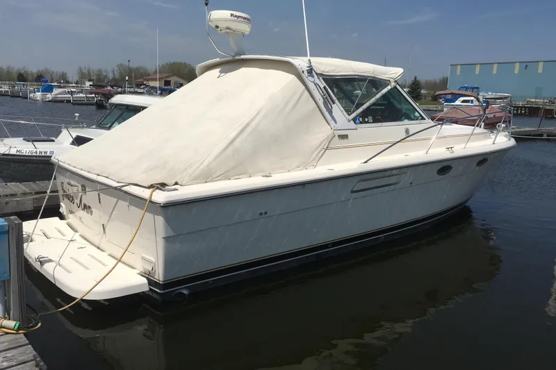 The Image of Tiara 3100 Open 1993 - undefined