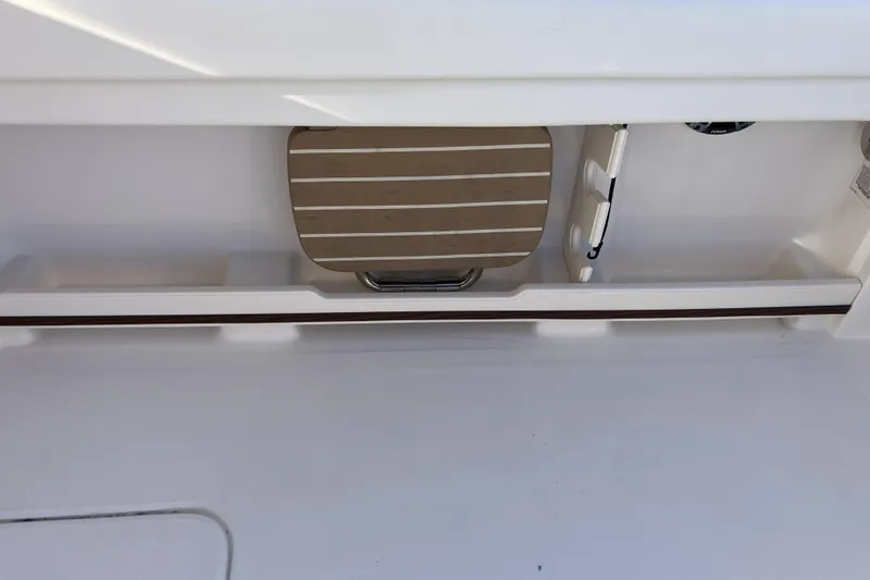 Slide: The Image of 2019 Grady-White Freedom 307 boat interior detail with storage compartment. - 15